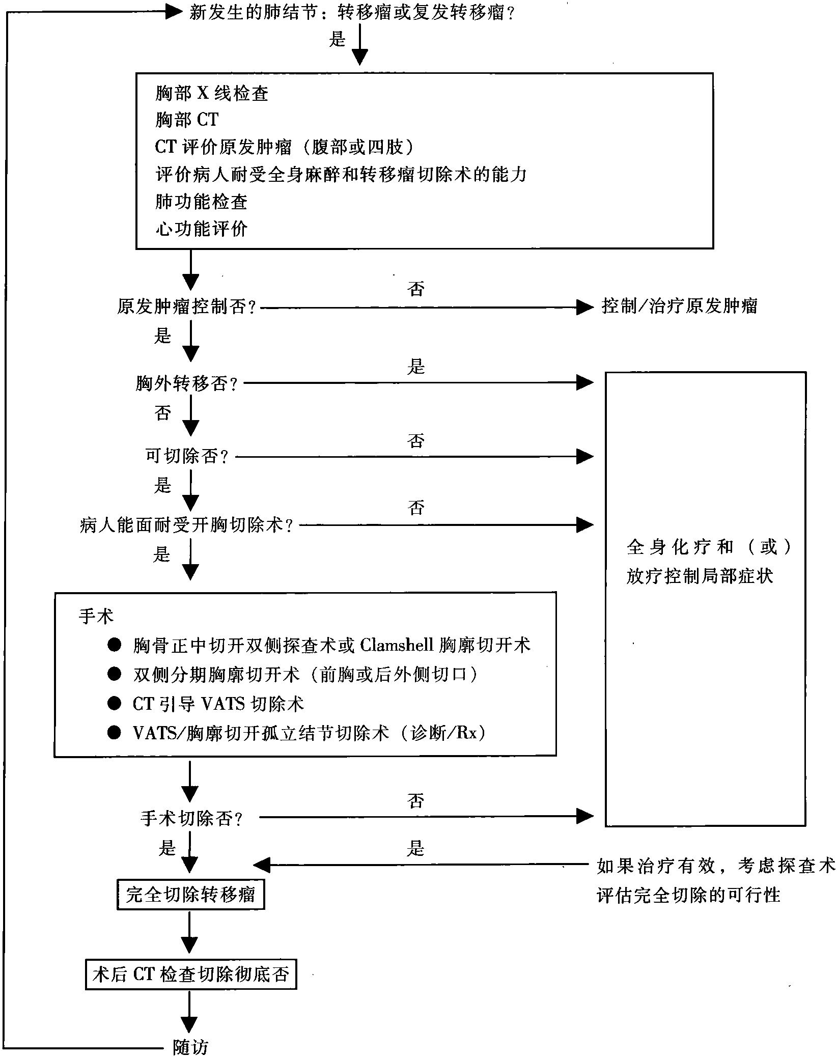 第25章 肺轉(zhuǎn)移瘤切除術(shù)